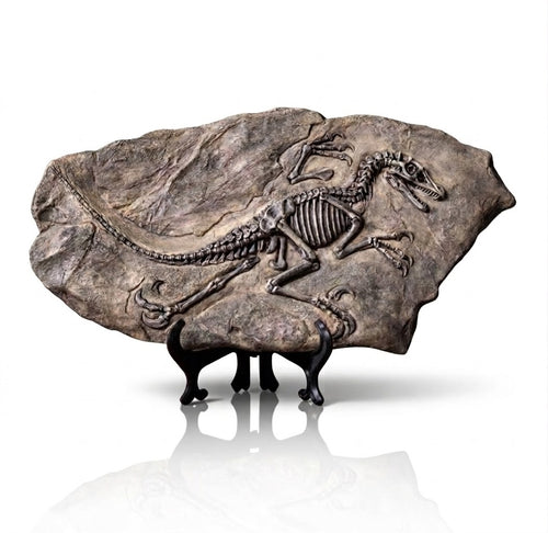 Fossil de Resina