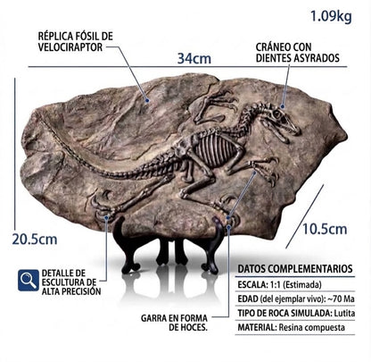 Fossil de Resina