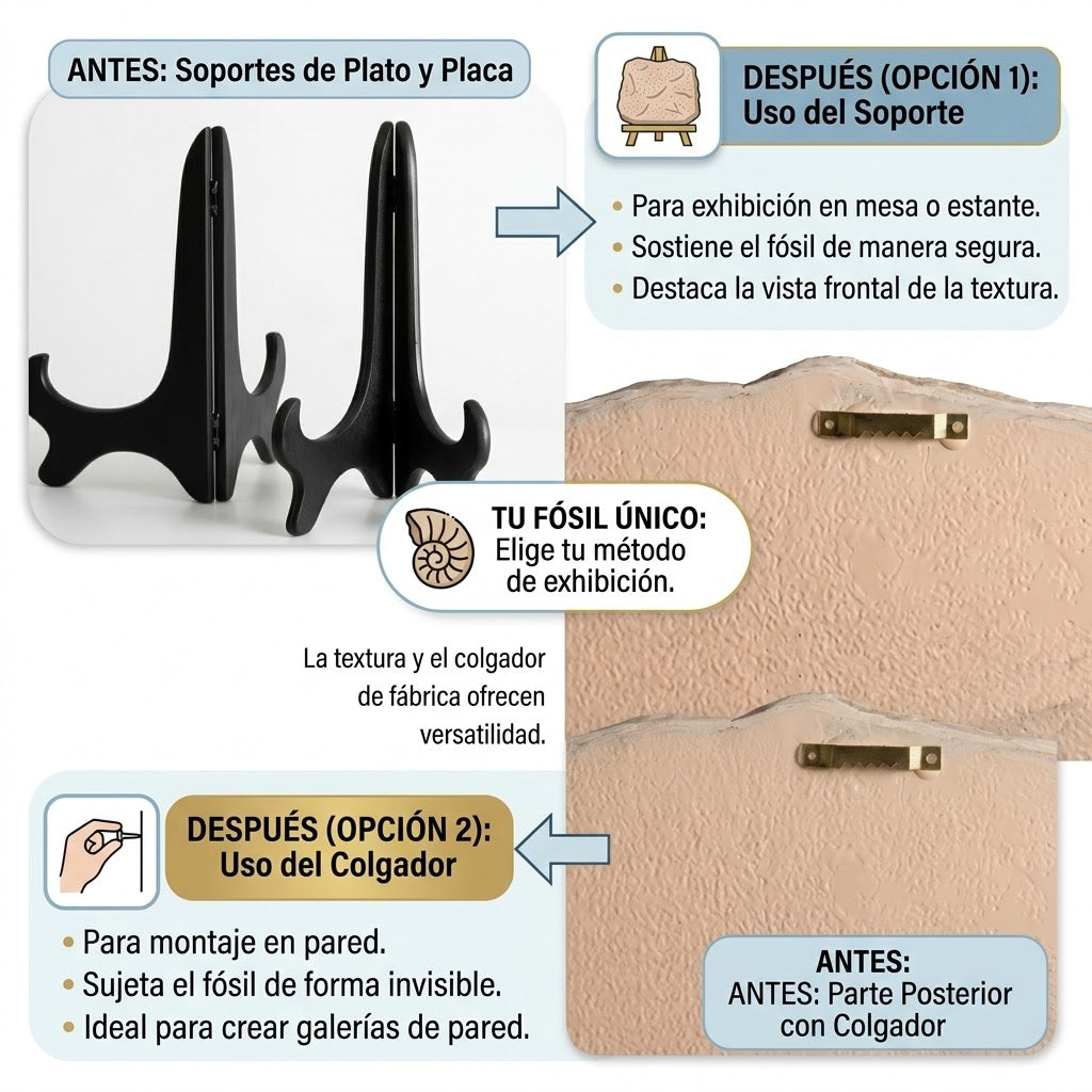 Fossil de Resina